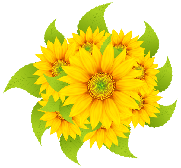 This png image - Sunflowers Decoration Clipart PNG Image, is available for free download