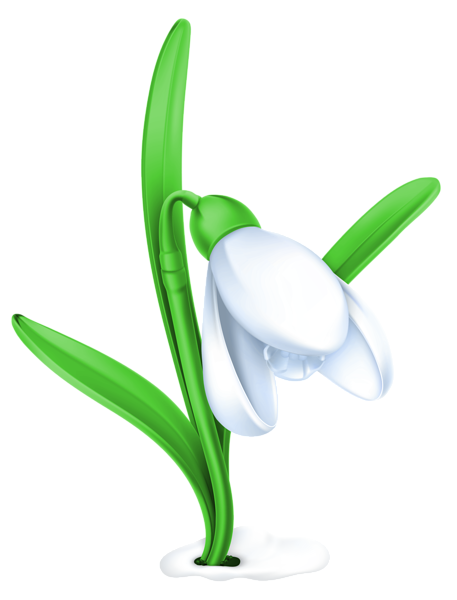 This png image - Transparent Snowdrop PNG Clipart Picture, is available for free download