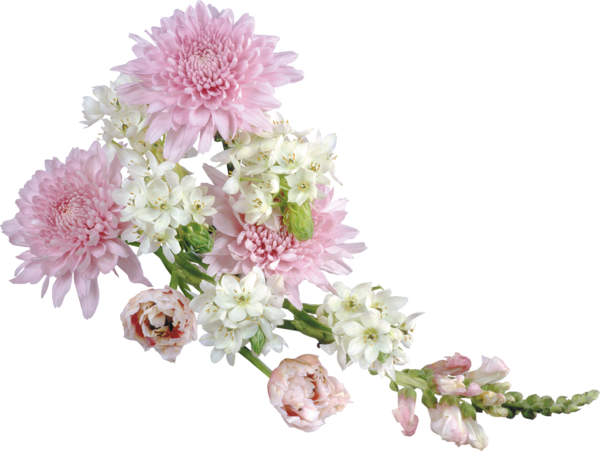 This png image - Transparent Soft Flower Arrangement Clipart, is available for free download
