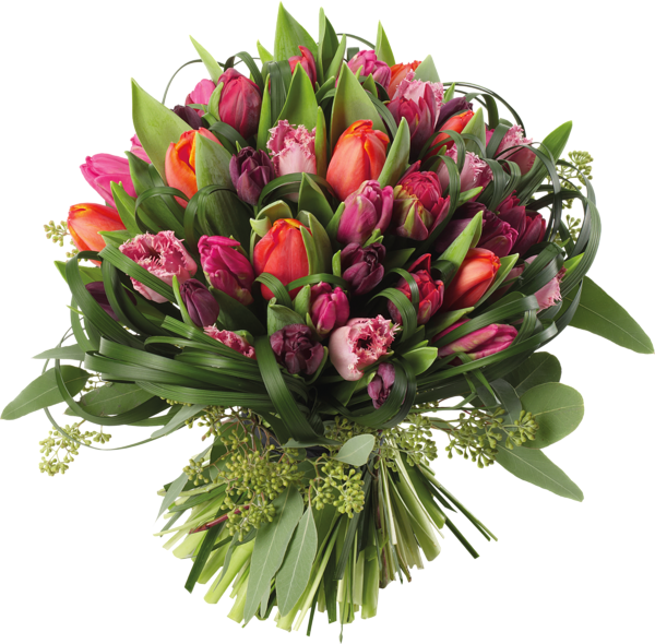 This png image - Transparent Tulips Bouquet PNG Clipart Picture, is available for free download