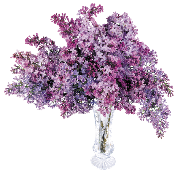 This png image - Transparent Vase with Lilac PNG Picture, is available for free download