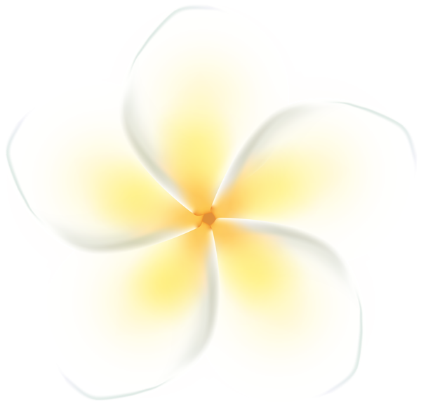 This png image - Tropical Exotic Flower PNG Clipart, is available for free download