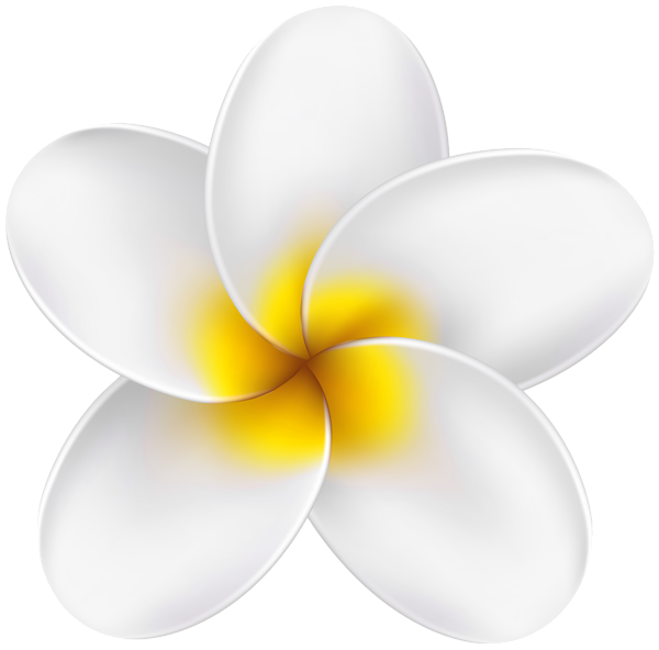 This png image - Tropical Flower Clip Art PNG Image, is available for free download