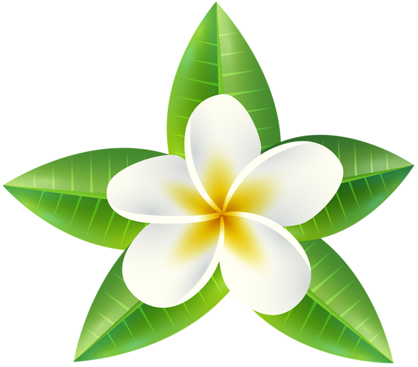 This png image - Tropical Flower PNG Clip Art Image, is available for free download