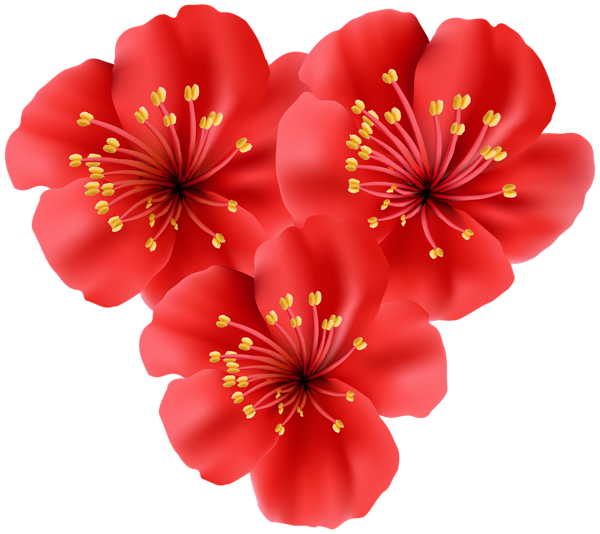 This png image - Tropical Flowers Heart PNG Clip Art Image, is available for free download