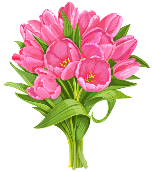 This png image - Tulips Bouquet Transparent PNG Clip Art, is available for free download