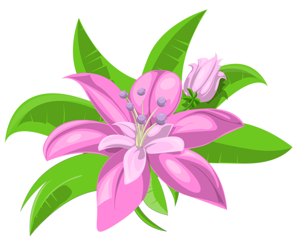 This png image - Two Pink Flowers PNG Image, is available for free download