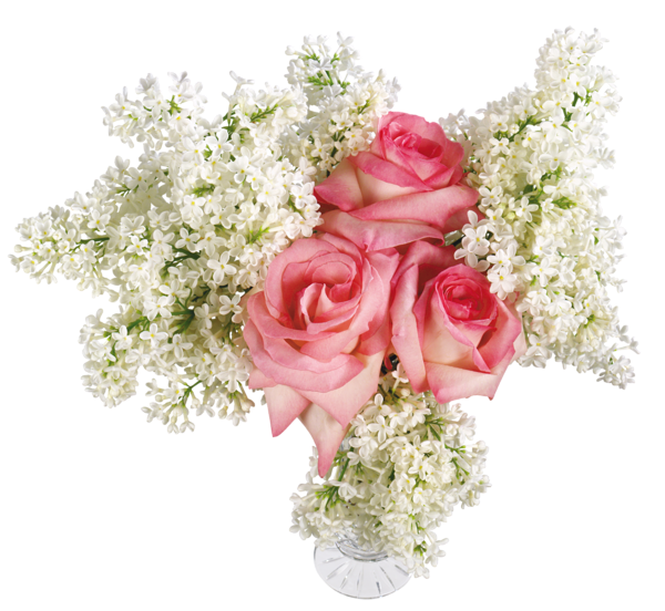 This png image - Vase with Roses and White Lilac Transparent Picture, is available for free download