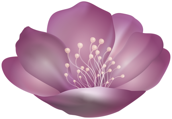 This png image - Violet Beautiful Flower PNG Transparent Clipart, is available for free download