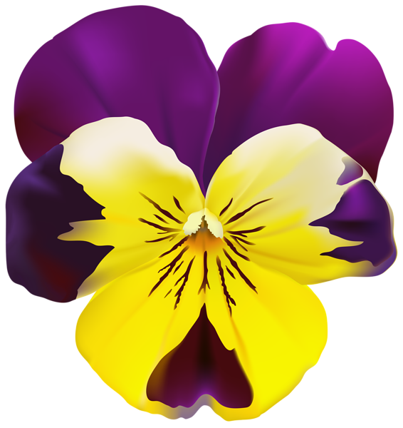 This png image - Violet Flower Transparent PNG Clip Art, is available for free download