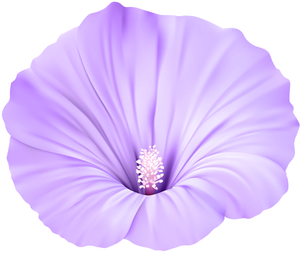 This png image - Violet Flower Transparent PNG Clip Art, is available for free download