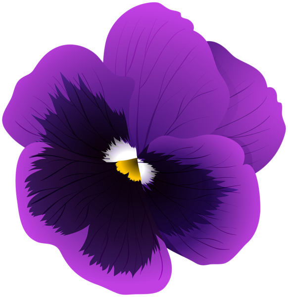 This png image - Violet Flower Transparent PNG Clip Art Image, is available for free download