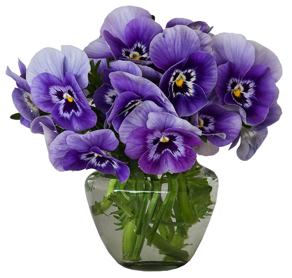 Violets Vase Bouquet Clipart | Gallery Yopriceville - High ...