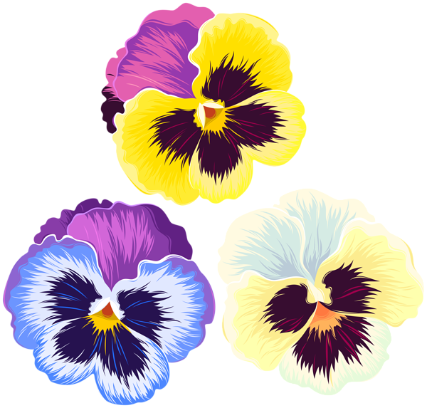 This png image - Violets PNG Clip Art, is available for free download