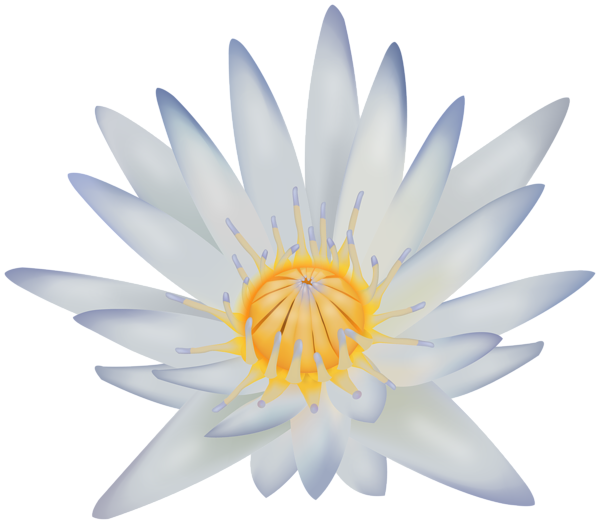 This png image - Water Lily Clipart Image, is available for free download