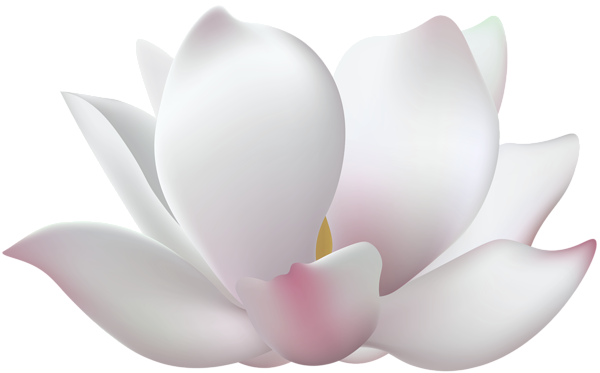 This png image - Water Lily Flower Clipart, is available for free download