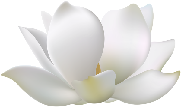 This png image - Water Lily Flower PNG Clipart, is available for free download
