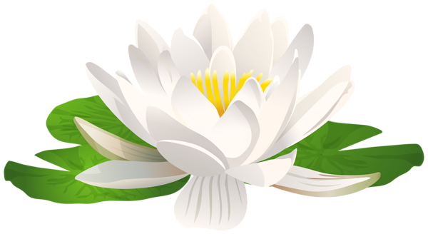 This png image - Water Lily Flower PNG Transparent Clipart, is available for free download