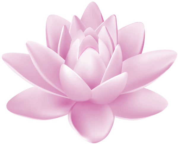 This png image - Water Lily PNG Clipart, is available for free download