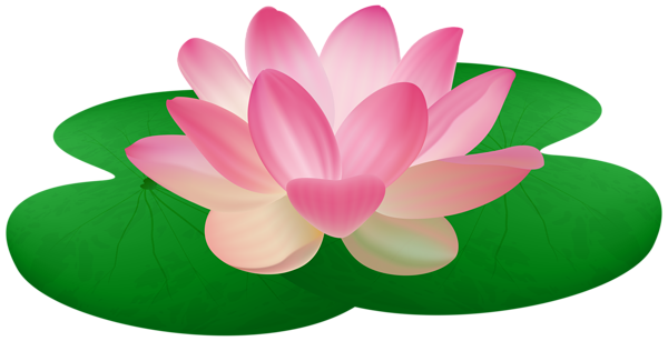 This png image - Water Lily PNG Transparent Clipart, is available for free download