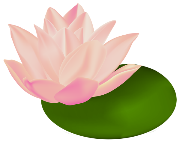 This png image - Water Lily Transparent Clip Art Image, is available for free download