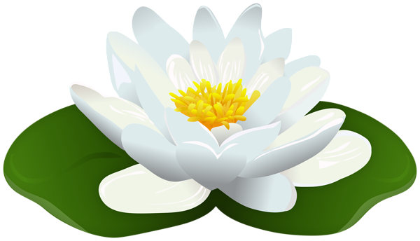 This png image - Water Lily Transparent Image, is available for free download