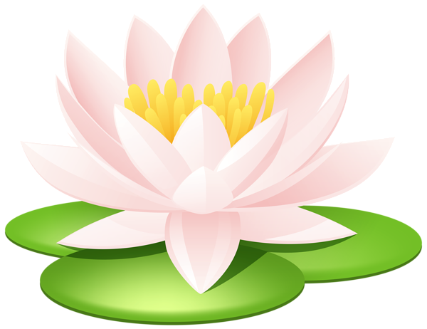 This png image - Water Lily Transparent PNG Image, is available for free download