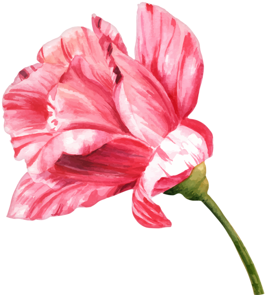 This png image - Watercolor Flower PNG Clip Art Image, is available for free download