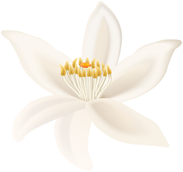 This png image - White Art Flower PNG Clipart, is available for free download