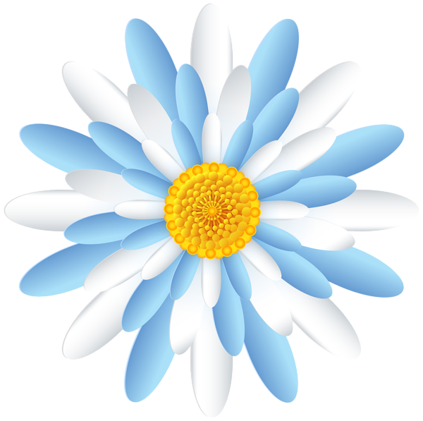 This png image - White Blue Flower Transparent PNG Clipart, is available for free download