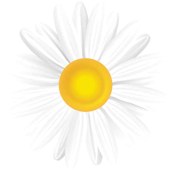 This png image - White Daisy PNG Clip Art Image, is available for free download