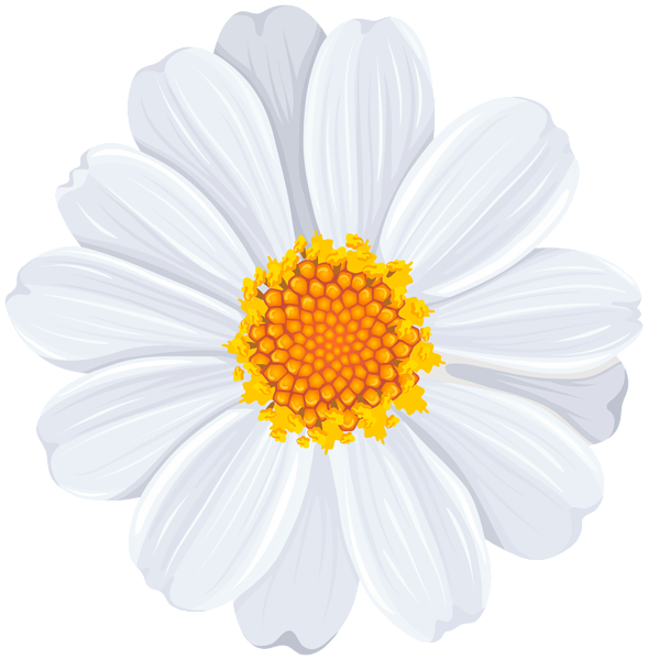This png image - White Daisy PNG Transparent Clip Art Image, is available for free download