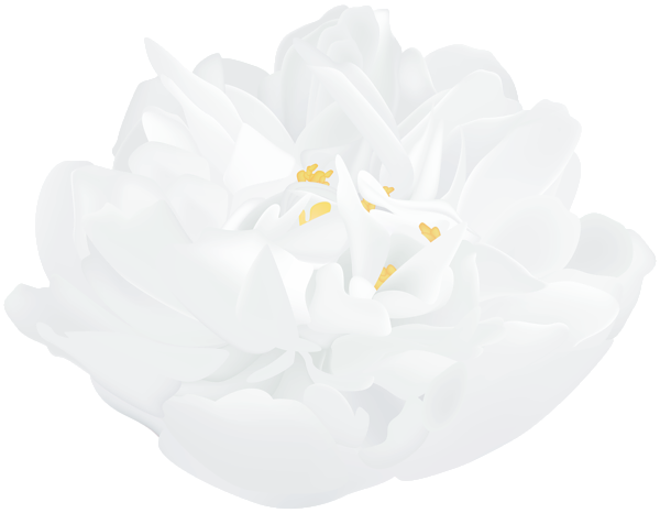 This png image - White Flower Beautiful PNG Clipart, is available for free download