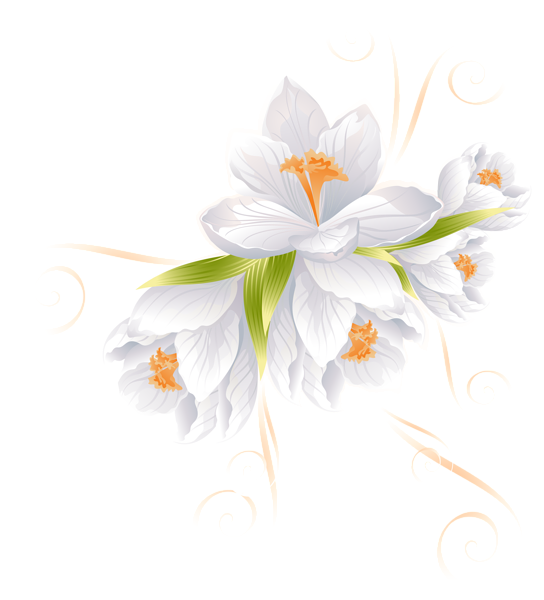 This png image - White Flower Decor Transparent PNG Clip Art Image, is available for free download