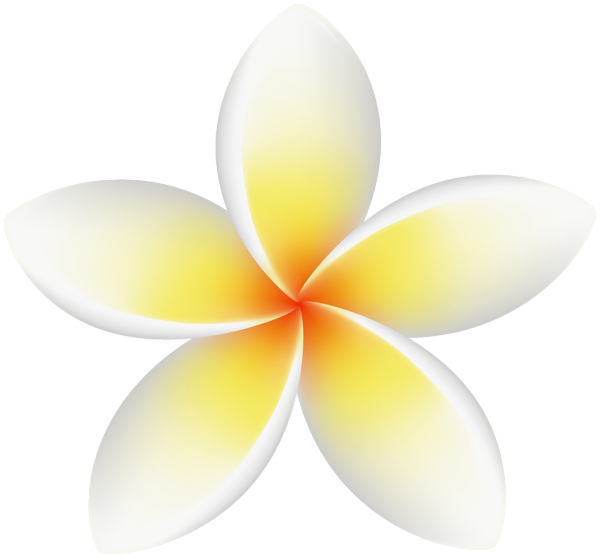 This png image - White Flower Decorative Clipart, is available for free download