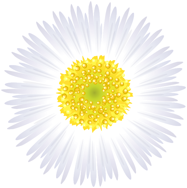 This png image - White Flower PNG Clip Art Image, is available for free download