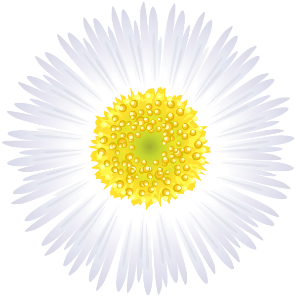 White Flower PNG Clip Art Image | Gallery Yopriceville - High-Quality