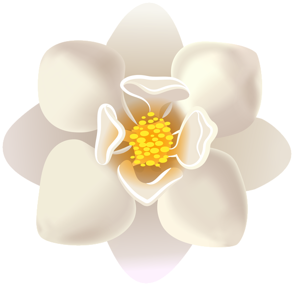 This png image - White Flower PNG Clipart, is available for free download