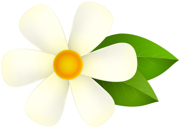 This png image - White Flower PNG Deco Clipart, is available for free download