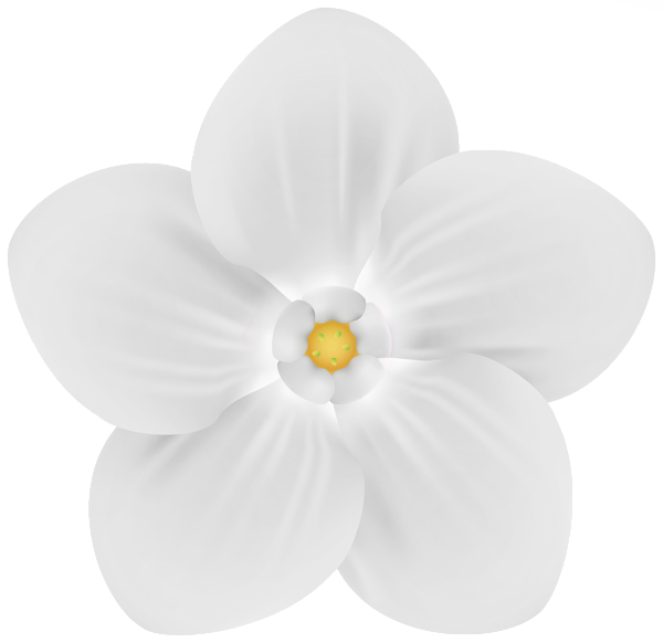 This png image - White Garden Flower Decor PNG Clipart, is available for free download