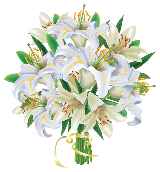 White Lilies Flowers Bouquet PNG Clipart Image | Gallery Yopriceville