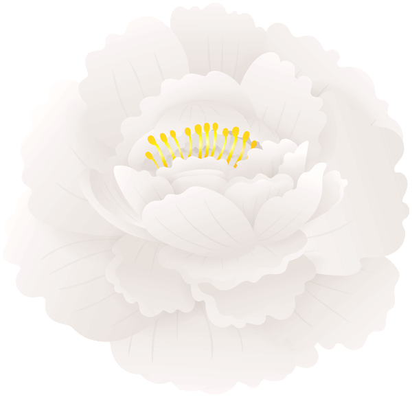 This png image - White Peony Art Flower PNG Clipart, is available for free download