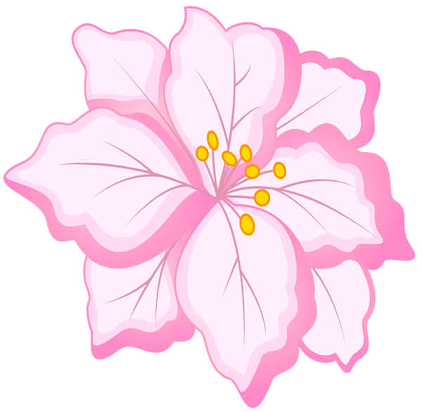 This png image - White Pink Flower PNG Clip Art Image, is available for free download
