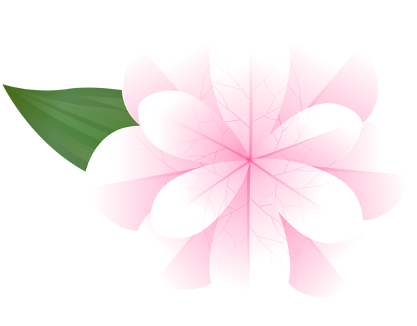 This png image - White Pink Flower PNG Clipart, is available for free download