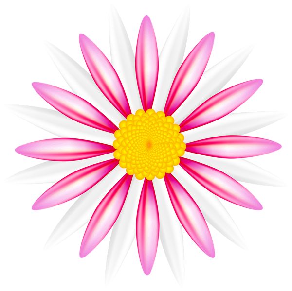 This png image - White Pink Flower PNG Transparent Clipart, is available for free download