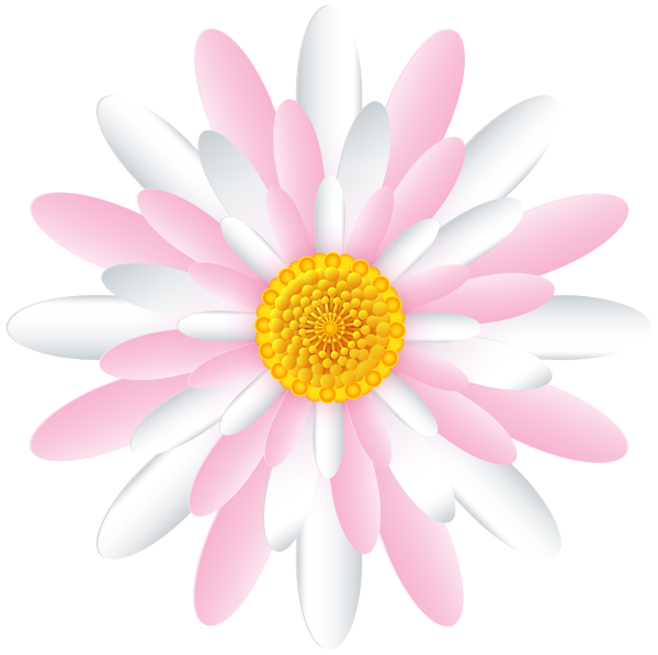 This png image - White Pink Flower Transparent PNG Clipart, is available for free download