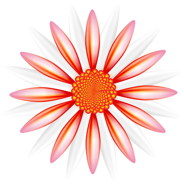 This png image - White Red Flower PNG Transparent Clipart, is available for free download