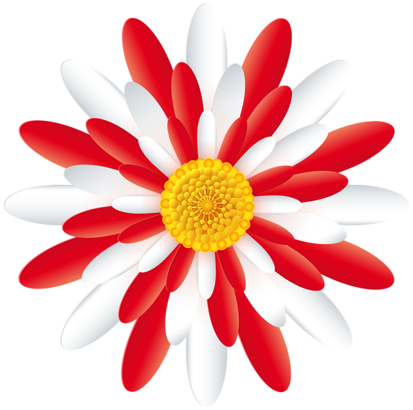 This png image - White Red Flower Transparent PNG Clipart, is available for free download