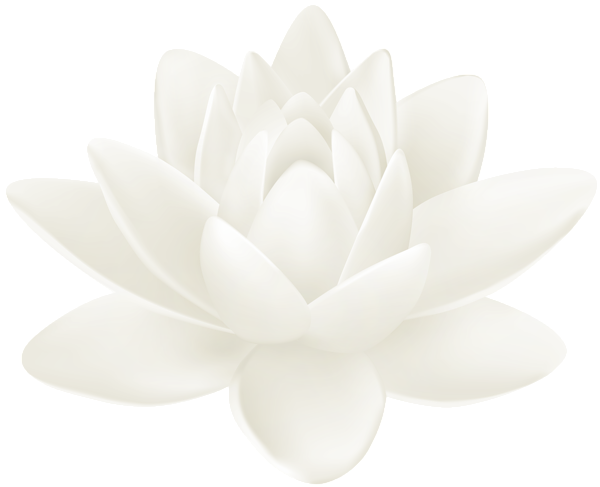 This png image - White Water Lily PNG Clipart, is available for free download