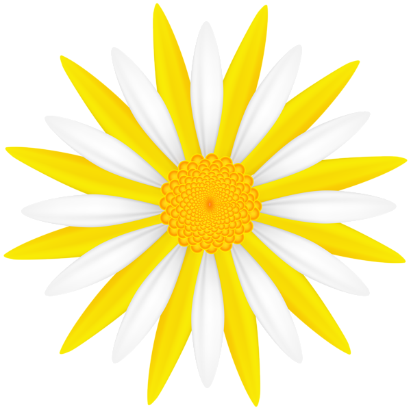 This png image - White Yellow Flower PNG Transparent Clipart, is available for free download